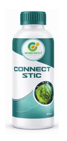 Connect Stic